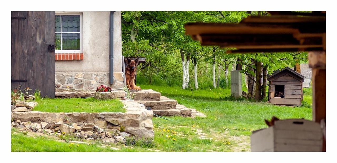 Villa Kozy I Roze Oldrzychowice Klodzkie Exterior foto