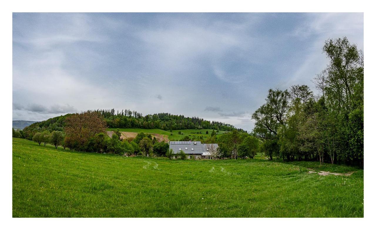 Villa Kozy I Roze Oldrzychowice Klodzkie Exterior foto
